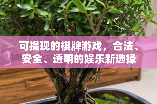 可提现的棋牌游戏,合法、安全、透明的娱乐新选择 可提现的棋牌游戏,合法、安全、透明的娱乐新选择