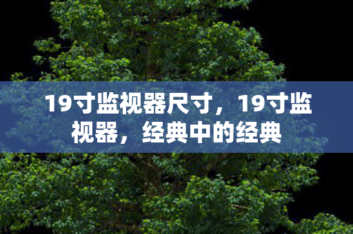19寸监视器尺寸，19寸监视器，经典中的经典
