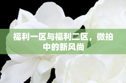 福利一区与福利二区,微拍中的新风尚 福利一区与福利二区,微拍中的新风尚