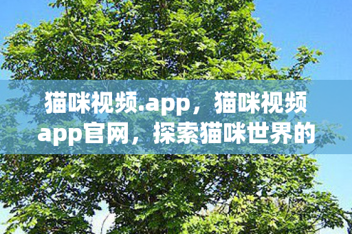 猫咪视频.app,猫咪视频app官网,探索猫咪世界的奇妙之旅 猫咪视频.app,猫咪视频app官网,探索猫咪世界的奇妙之旅