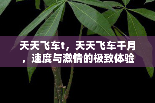 天天飞车t,天天飞车千月,速度与激情的极致体验 天天飞车t,天天飞车千月,速度与激情的极致体验