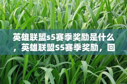 英雄联盟s5赛季奖励是什么,英雄联盟S5赛季奖励,回顾与期待 英雄联盟s5赛季奖励是什么,英雄联盟S5赛季奖励,回顾与期待