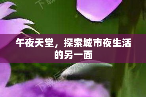 午夜天堂，探索城市夜生活的另一面