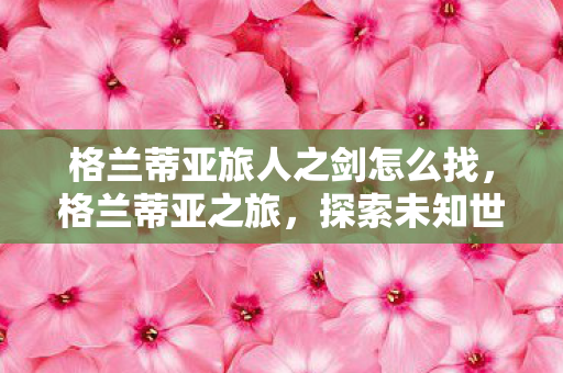 格兰蒂亚旅人之剑怎么找,格兰蒂亚之旅,探索未知世界的奇幻之旅 格兰蒂亚旅人之剑怎么找,格兰蒂亚之旅,探索未知世界的奇幻之旅
