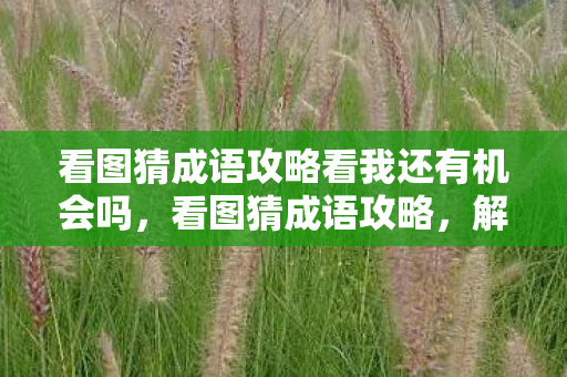 看图猜成语攻略看我还有机会吗,看图猜成语攻略,解锁智慧与趣味并存的挑战 看图猜成语攻略看我还有机会吗,看图猜成语攻略,解锁智慧与趣味并存的挑战