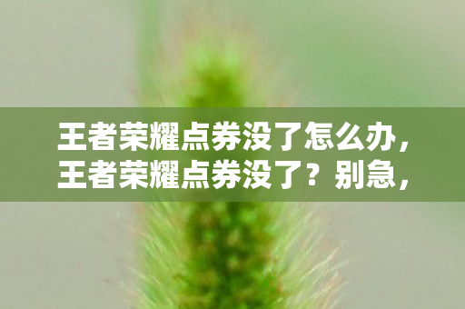 王者荣耀点券没了怎么办,王者荣耀点券没了?别急,这里有解决办法! 王者荣耀点券没了怎么办,王者荣耀点券没了?别急,这里有解决办法!