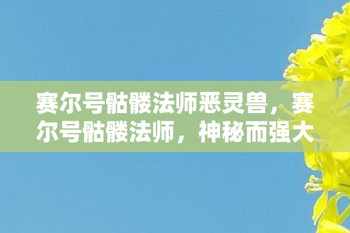 赛尔号骷髅法师恶灵兽,赛尔号骷髅法师,神秘而强大的存在 赛尔号骷髅法师恶灵兽,赛尔号骷髅法师,神秘而强大的存在
