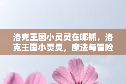 洛克王国小灵灵在哪抓,洛克王国小灵灵,魔法与冒险的奇妙之旅 洛克王国小灵灵在哪抓,洛克王国小灵灵,魔法与冒险的奇妙之旅