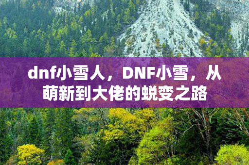 dnf小雪人,DNF小雪,从萌新到大佬的蜕变之路 dnf小雪人,DNF小雪,从萌新到大佬的蜕变之路
