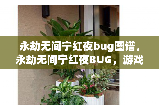 永劫无间宁红夜bug图谱，永劫无间宁红夜BUG，游戏平衡与玩家体验的挑战