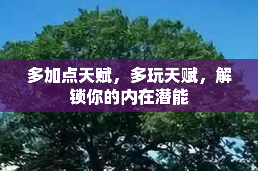 多加点天赋,多玩天赋,解锁你的内在潜能 多加点天赋,多玩天赋,解锁你的内在潜能