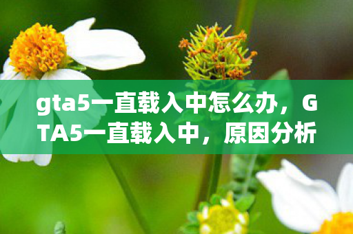 gta5一直载入中怎么办,GTA5一直载入中,原因分析与解决方案 gta5一直载入中怎么办,GTA5一直载入中,原因分析与解决方案
