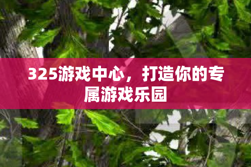 325游戏中心，打造你的专属游戏乐园