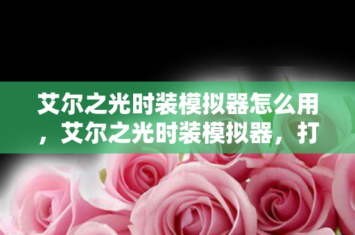 艾尔之光时装模拟器怎么用，艾尔之光时装模拟器，打造你的专属时尚王国
