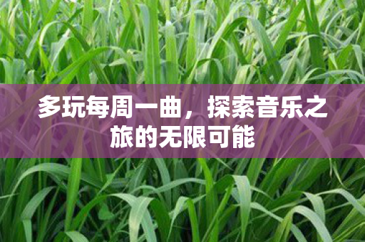 多玩每周一曲,探索音乐之旅的无限可能 多玩每周一曲,探索音乐之旅的无限可能