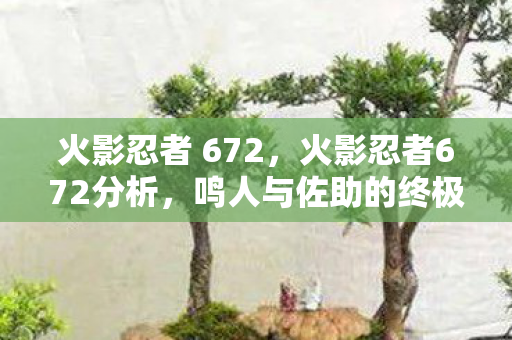 火影忍者 672，火影忍者672分析，鸣人与佐助的终极对决