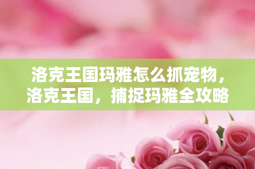 洛克王国玛雅怎么抓宠物,洛克王国,捕捉玛雅全攻略 洛克王国玛雅怎么抓宠物,洛克王国,捕捉玛雅全攻略