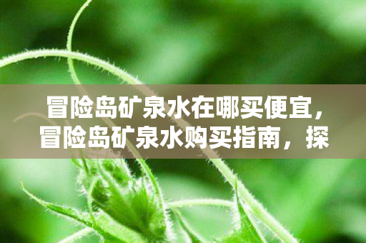 冒险岛矿泉水在哪买便宜，冒险岛矿泉水购买指南，探索纯净之源，尽享自然之味