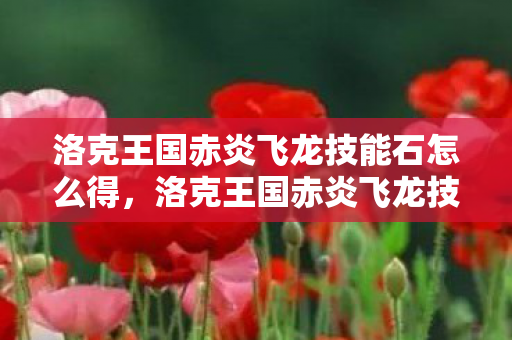 洛克王国赤炎飞龙技能石怎么得,洛克王国赤炎飞龙技能石,解锁强力技能的神秘道具 洛克王国赤炎飞龙技能石怎么得,洛克王国赤炎飞龙技能石,解锁强力技能的神秘道具