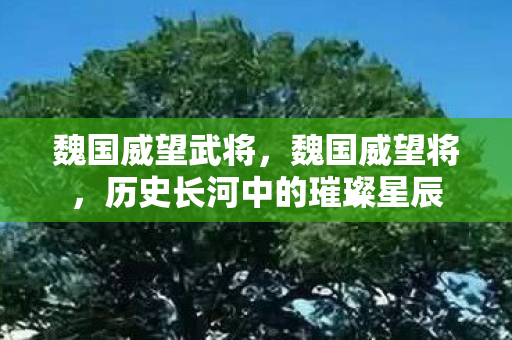 魏国威望武将，魏国威望将，历史长河中的璀璨星辰