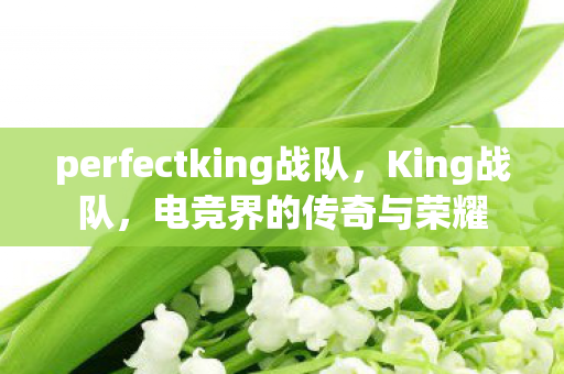 perfectking战队，King战队，电竞界的传奇与荣耀