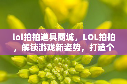 lol拍拍道具商城，LOL拍拍，解锁游戏新姿势，打造个性化社交体验