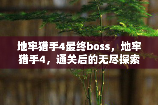 地牢猎手4最终boss,地牢猎手4,通关后的无尽探索与反思 地牢猎手4最终boss,地牢猎手4,通关后的无尽探索与反思