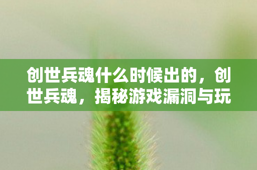 创世兵魂什么时候出的,创世兵魂,揭秘游戏漏洞与玩家应对策略 创世兵魂什么时候出的,创世兵魂,揭秘游戏漏洞与玩家应对策略