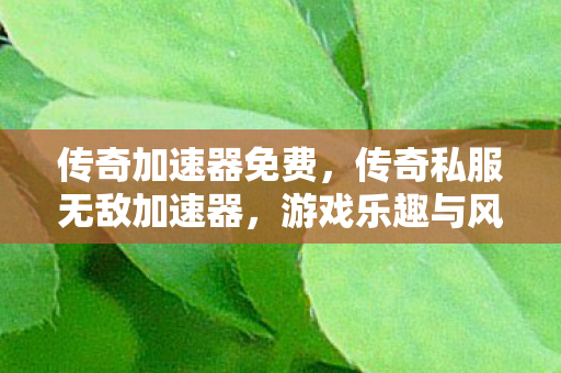 传奇加速器免费,传奇私服无敌加速器,游戏乐趣与风险并存 传奇加速器免费,传奇私服无敌加速器,游戏乐趣与风险并存