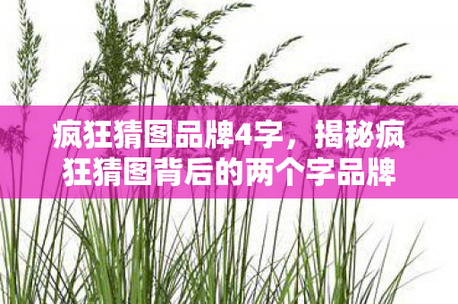 疯狂猜图品牌4字,揭秘疯狂猜图背后的两个字品牌 疯狂猜图品牌4字,揭秘疯狂猜图背后的两个字品牌