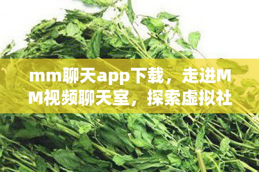 mm聊天app下载,走进MM视频聊天室,探索虚拟社交的新世界 mm聊天app下载,走进MM视频聊天室,探索虚拟社交的新世界