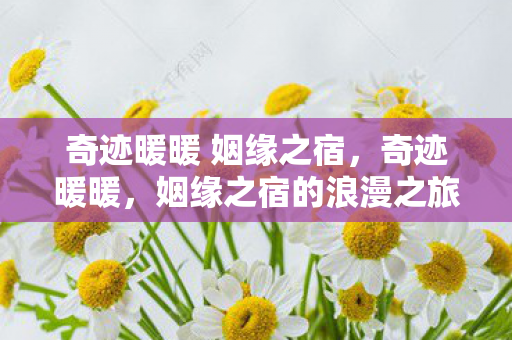 奇迹暖暖 姻缘之宿，奇迹暖暖，姻缘之宿的浪漫之旅