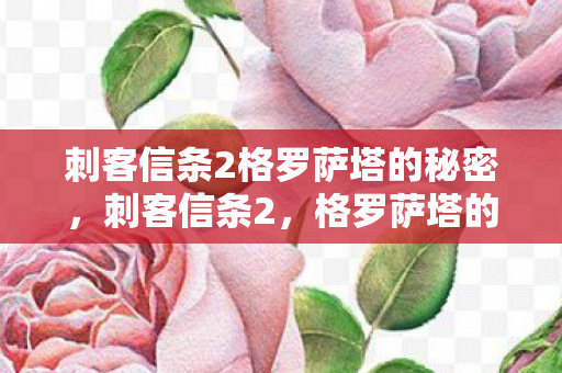 刺客信条2格罗萨塔的秘密，刺客信条2，格罗萨塔的阴影