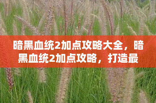 暗黑血统2加点攻略大全，暗黑血统2加点攻略，打造最强战士的秘诀