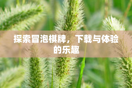 探索冒泡棋牌,下载与体验的乐趣 探索冒泡棋牌,下载与体验的乐趣