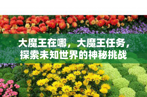 大魔王在哪，大魔王任务，探索未知世界的神秘挑战