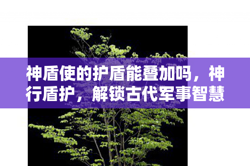 神盾使的护盾能叠加吗，神行盾护，解锁古代军事智慧的密码