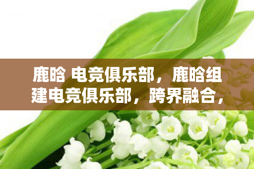 鹿晗 电竞俱乐部,鹿晗组建电竞俱乐部,跨界融合,开启电竞新篇章 鹿晗 电竞俱乐部,鹿晗组建电竞俱乐部,跨界融合,开启电竞新篇章