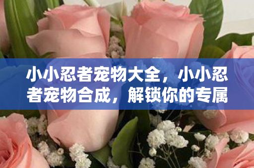 小小忍者宠物大全，小小忍者宠物合成，解锁你的专属忍者伙伴
