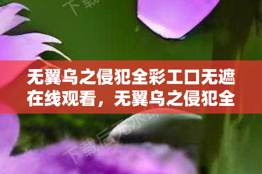 无翼乌之侵犯全彩工口无遮在线观看,无翼乌之侵犯全彩工口,揭开神秘面纱的禁忌之旅 无翼乌之侵犯全彩工口无遮在线观看,无翼乌之侵犯全彩工口,揭开神秘面纱的禁忌之旅
