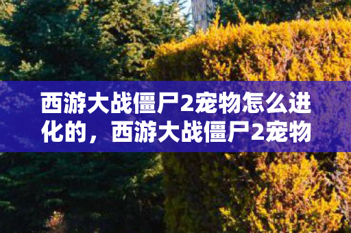 西游大战僵尸2宠物怎么进化的,西游大战僵尸2宠物进化攻略,解锁你的宠物潜能 西游大战僵尸2宠物怎么进化的,西游大战僵尸2宠物进化攻略,解锁你的宠物潜能