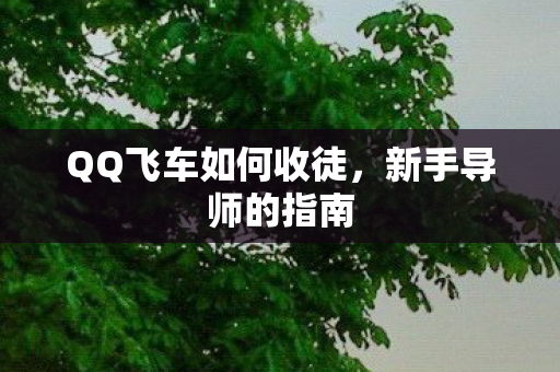 QQ飞车如何收徒,新手导师的指南 QQ飞车如何收徒,新手导师的指南
