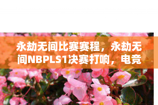 永劫无间比赛赛程,永劫无间NBPLS1决赛打响,电竞新星的璀璨时刻 永劫无间比赛赛程,永劫无间NBPLS1决赛打响,电竞新星的璀璨时刻