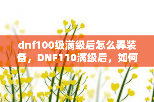 dnf100级满级后怎么弄装备,DNF110满级后,如何高效刷装备? dnf100级满级后怎么弄装备,DNF110满级后,如何高效刷装备?