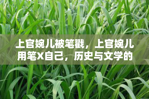 上官婉儿被笔戳,上官婉儿用笔X自己,历史与文学的交织 上官婉儿被笔戳,上官婉儿用笔X自己,历史与文学的交织