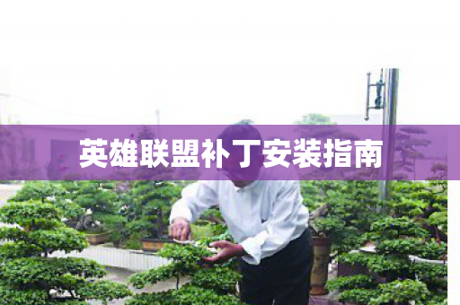 英雄联盟补丁安装指南