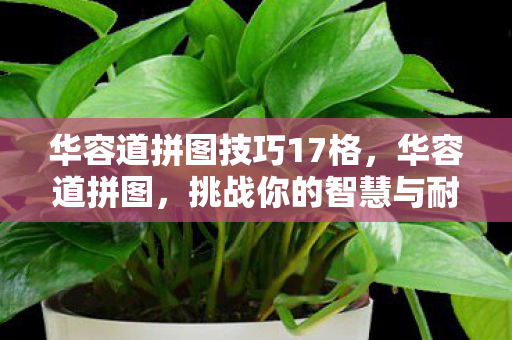 华容道拼图技巧17格,华容道拼图,挑战你的智慧与耐心 华容道拼图技巧17格,华容道拼图,挑战你的智慧与耐心