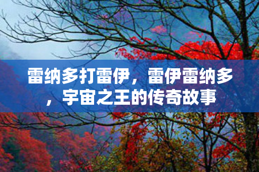 雷纳多打雷伊,雷伊雷纳多,宇宙之王的传奇故事 雷纳多打雷伊,雷伊雷纳多,宇宙之王的传奇故事