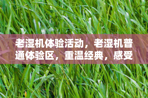 老湿机体验活动，老湿机普通体验区，重温经典，感受时光流转