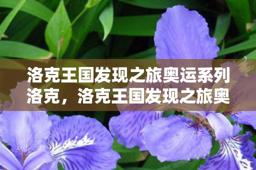洛克王国发现之旅奥运系列洛克,洛克王国发现之旅奥运系列,探索虚拟世界的体育盛宴 洛克王国发现之旅奥运系列洛克,洛克王国发现之旅奥运系列,探索虚拟世界的体育盛宴